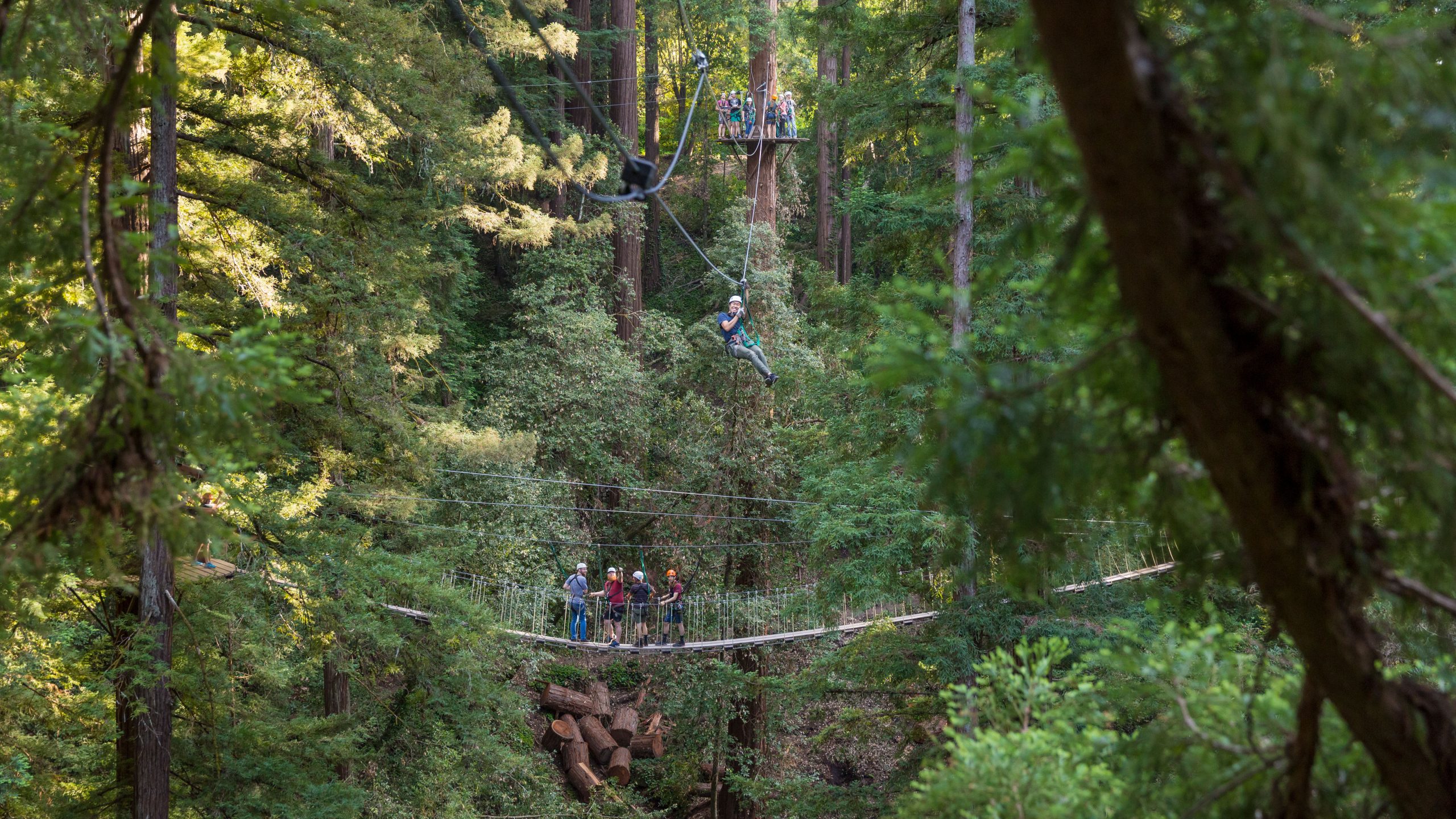 Daring adventurers traverse the canopy tours at Mount Hermon, offering a unique perspective of the forest.