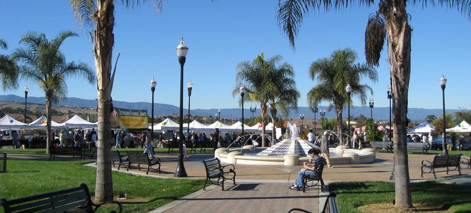 The bustling Evergreen Farmers' Market, a haven for fresh, local produce and artisanal foods.