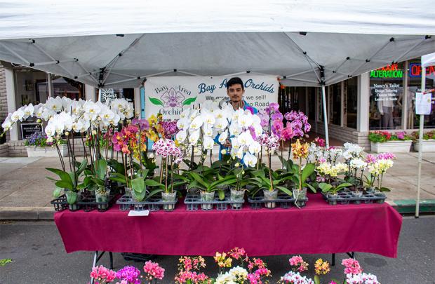 Bay Area Orchids, a gem of the Evergreen Farmers' Market, showcasing vibrant selections.